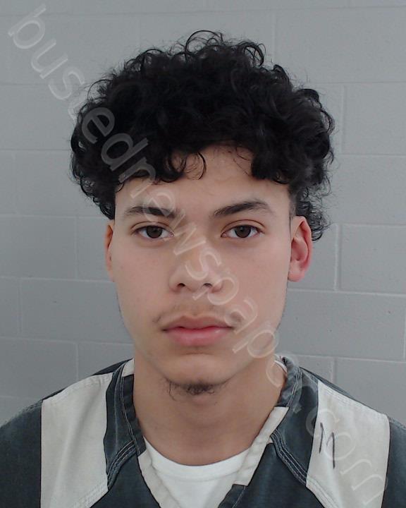 MARTINEZ, MOISES NATANAEL #, Johnson County, Texas - 2023-01-18
