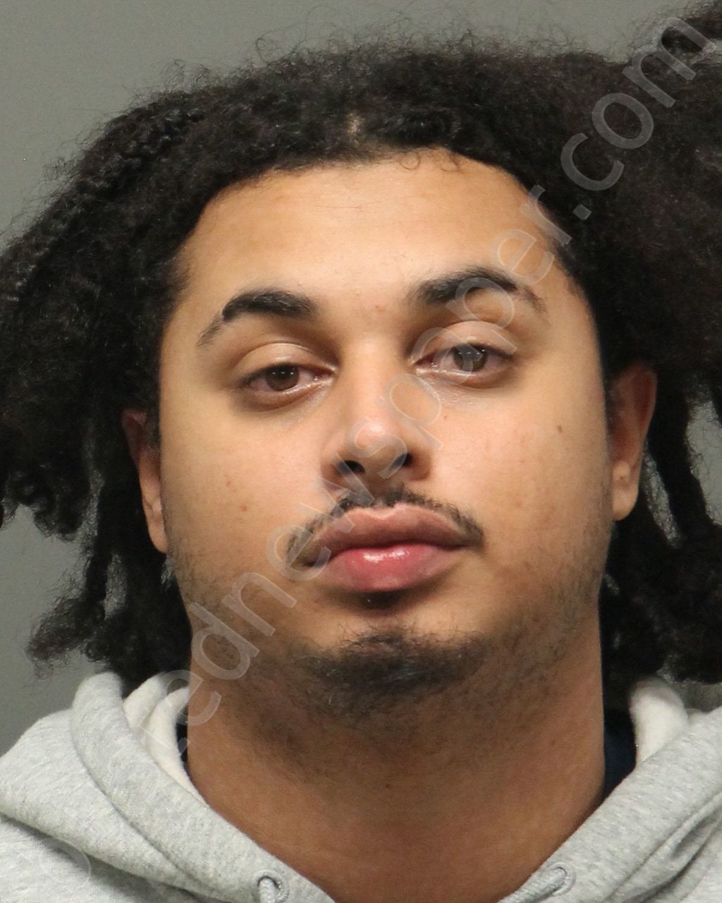 WILLIS,BAILEY MATTHEW #, Wake County, North Carolina - 2023-01-19 01:15:00
