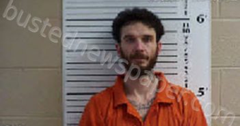 RHYNE, DYLAN ANDREA | 2023-01-19 15:34:00 Cherokee County, North Carolina Booking