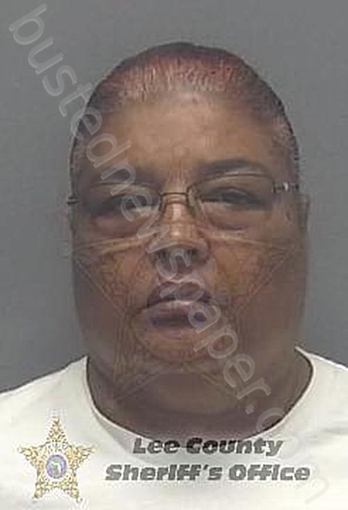 MCKINLEY, TOWANDA #, Lee County, Florida - 2023-01-20 11:12:16