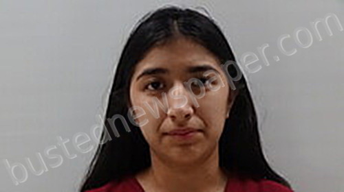 CASTILLO VICTORIA MIA #, Cameron County, Texas - 2023-01-21