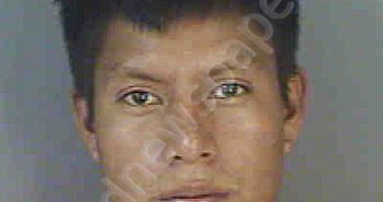 HERNANDEZJIMENEZ,WALTER | 2023-01-24 Collier County, Florida Booking