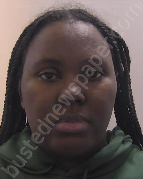 WHITFIELD, MICHELLE NICOLE #, Chesapeake, Virginia - 2023-01-24 15:57:00
