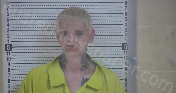 WALLS, NIKKI | 2023-01-24 20:21:00 Taylor County, Kentucky Booking