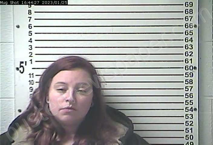 DEVER, BRITTANY LENA #, Hardin County, Kentucky - 2023-01-25 16:24:00