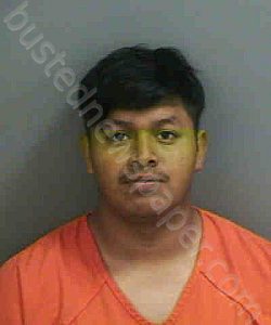 IGNACIOGASPAR,JOSE NMN | 2023-01-26 Collier County, Florida Booking