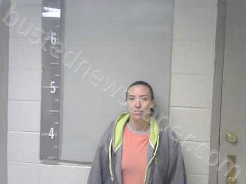 FELICIA BENNEFIELD #, Marshall County, Alabama - 2023-01-27 08:36:00