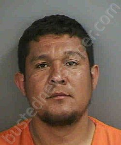 CASAREZ,REMIGIO | 2023-01-28 Collier County, Florida Booking