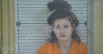 ROWLAND, SHELBIE N | 2023-01-30 02:52:00 Taylor County, Kentucky Booking