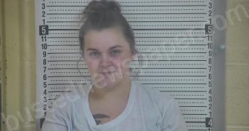 LAMER, JASMIN M. | 2023-01-31 23:52:00 Taylor County, Kentucky Booking