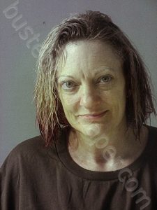 SAUNDERS-BLACKBURN, JENNIFER ANN | 2023-02-01 16:12:00 Southeastern Regional Jail, Ohio Booking