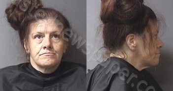 FIELDS, MICHELLE LEE #, Madison County, Indiana - 2023-02-01 17:00:00 <B>FIELDS</B>, <B>MICHELLE</B> <B>LEE</B> #, Madison County, Indiana - 2023-02-01 17:00:00