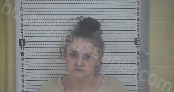 MC COY, MELISSA | 2023-02-02 18:03:00 Taylor County, Kentucky Booking