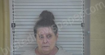 CLEVENGER, BRENDA | 2023-02-02 15:20:00 Taylor County, Kentucky Booking