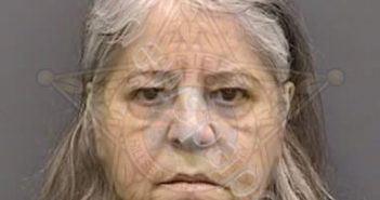 RUSSELL,BRENDA | 2023-02-02 16:36:00 Hillsborough County, Florida Booking