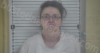 FRALEY, LACI ELANIA | 2023-02-02 19:09:00 Taylor County, Kentucky Booking