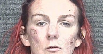 <B>LANE</B>, BRITTANY <B>ALICIA</B> #, Horry County, South Carolina - 2023-02-02 06:51:00