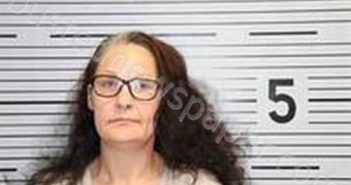 LISA MAZE SEELEY | 2023-02-02 15:30:00 Jackson County, Alabama Booking