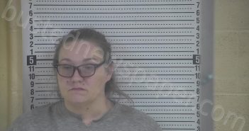 WAGONER, STACI | 2023-02-02 14:17:00 Taylor County, Kentucky Booking