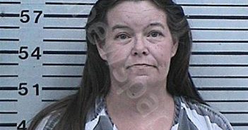 HAYTON, BELINDA ANN | 2023-02-03 19:11:35 Hood County, Texas Booking