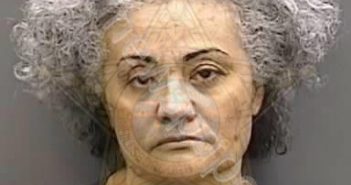 BONILLA MORALES,NILDA | 2023-02-03 18:03:00 Hillsborough County, Florida Booking