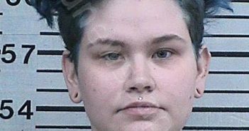 WELLS, ALEXANDRA POPE | 2023-02-06 09:39:29 Hood County, Texas Booking