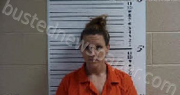 STILES, JILLIAN ASHLEY SLONE | 2023-02-06 03:31:00 Cherokee County, North Carolina Booking