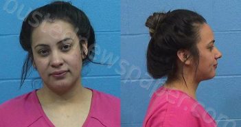 CHAVEZ, ANGELINA NICOLE | 2023-02-06 Williamson County, Texas Booking