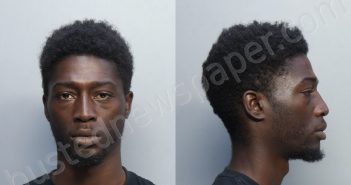 WILSON, TRISTON DEION | 2023-02-07 19:58:00 Miami-Dade County, Florida Booking