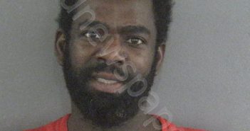HARRINGTON II, MICHAEL | 2023-02-07 13:10:00 Sumter County, Florida Booking