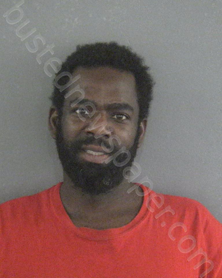HARRINGTON II, MICHAEL #, Sumter County, Florida - 2023-02-07 13:10:00