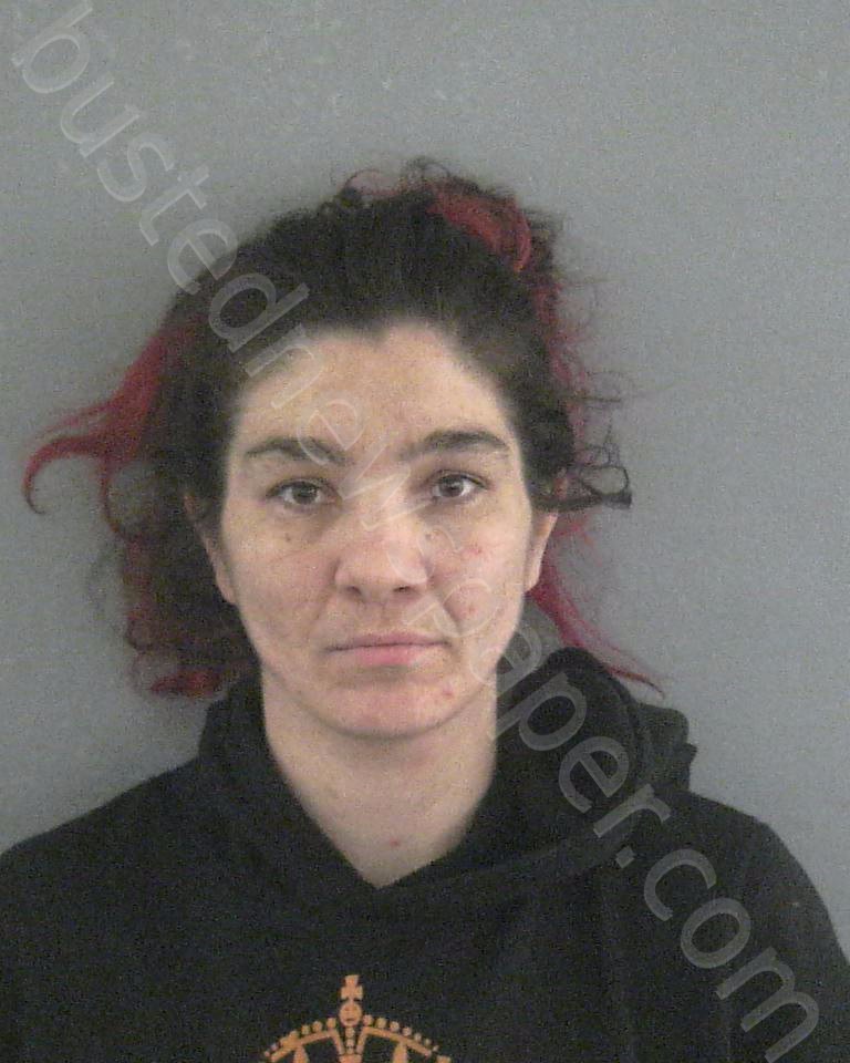 RASER, KATLIN JOANNA MARIE #, Sumter County, Florida - 2023-02-07 09:24:00