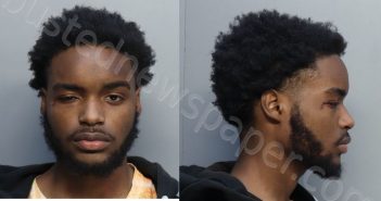 COLLINS, TARIQ LAVAR | 2023-02-07 20:12:00 Miami-Dade County, Florida Booking