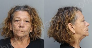 VAZQUEZ, SANDRA | 2023-02-07 21:42:00 Miami-Dade County, Florida Booking