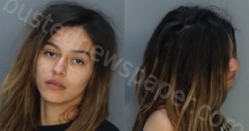 VALLE, ROSA | 2023-02-07 22:45:00 Miami-Dade County, Florida Booking