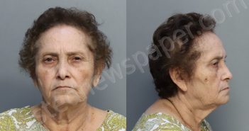 SANCHEZ, LUZ MARINA | 2023-02-07 23:11:00 Miami-Dade County, Florida Booking