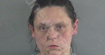 BRAY, TAMMY LEE | 2023-02-07 12:08:00 Sumter County, Florida Booking
