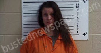 JOHNSON, TARA ASHLEY | 2023-02-07 16:15:00 Cherokee County, North Carolina Booking
