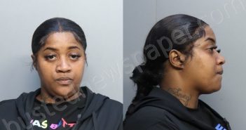 ROBINSON, TONYA MARIE | 2023-02-08 11:36:00 Miami-Dade County, Florida Booking