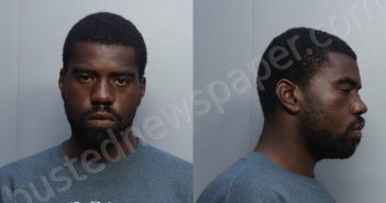 WILLIS, KRESKIN NATHELL | 2023-02-08 12:12:00 Miami-Dade County, Florida Booking