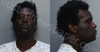 DUNKLEY, PARIS J | 2023-02-08 21:55:00 Miami-Dade County, Florida Booking