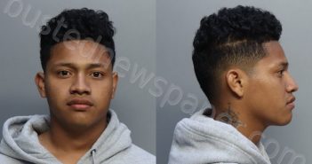 REYES, JAROL | 2023-02-08 02:19:00 Miami-Dade County, Florida Booking