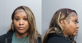 STRADER, TRACI MICHELE | 2023-02-08 08:02:00 Miami-Dade County, Florida Booking