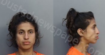 OCHOA, KIMBERLY | 2023-02-08 11:18:00 Miami-Dade County, Florida Booking