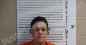 SHOOK, BROOKLYN CIARA | 2023-02-09 21:14:00 Cherokee County, North Carolina Booking