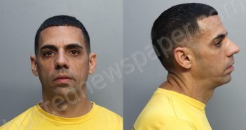 DIAZDANIEL, YUSMIN | 2023-02-09 11:15:00 Miami-Dade County, Florida Booking