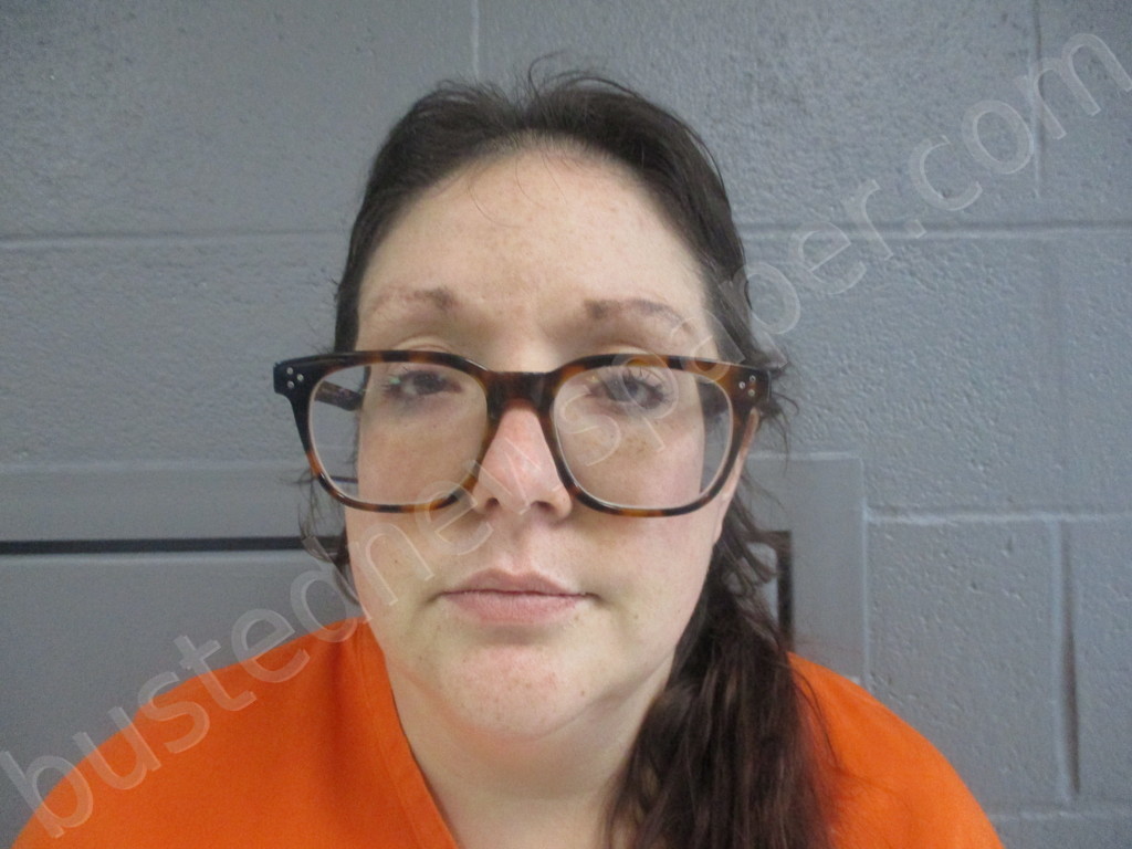 DONAHUE, MEGAN DEEANN #, Taylor County, West Virginia - 2023-02-09 17:50:00