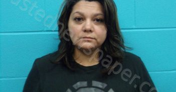 CASTRO, MARY CARMEN | 2023-02-13 01:06:00 Nolan County, Texas Booking