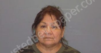 GARCIA, ANITA | 2023-02-16 22:58:00 Dewitt County, Texas Booking