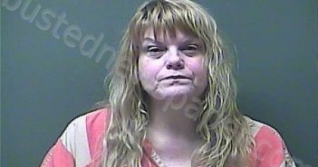 GACSY, JOYCE C | 2023-02-18 17:09:00 Laporte County, Indiana, La Porte County, Indiana Booking
